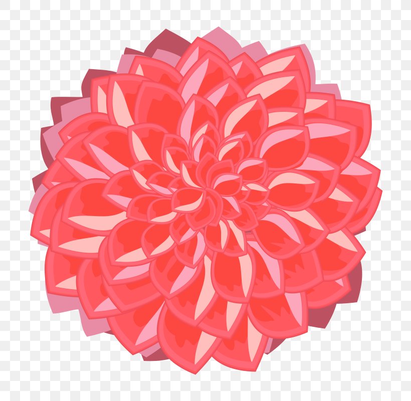 Dahlia Drawing Clip Art, PNG, 800x800px, Dahlia, Art, Color, Cut Flowers, Drawing Download Free
