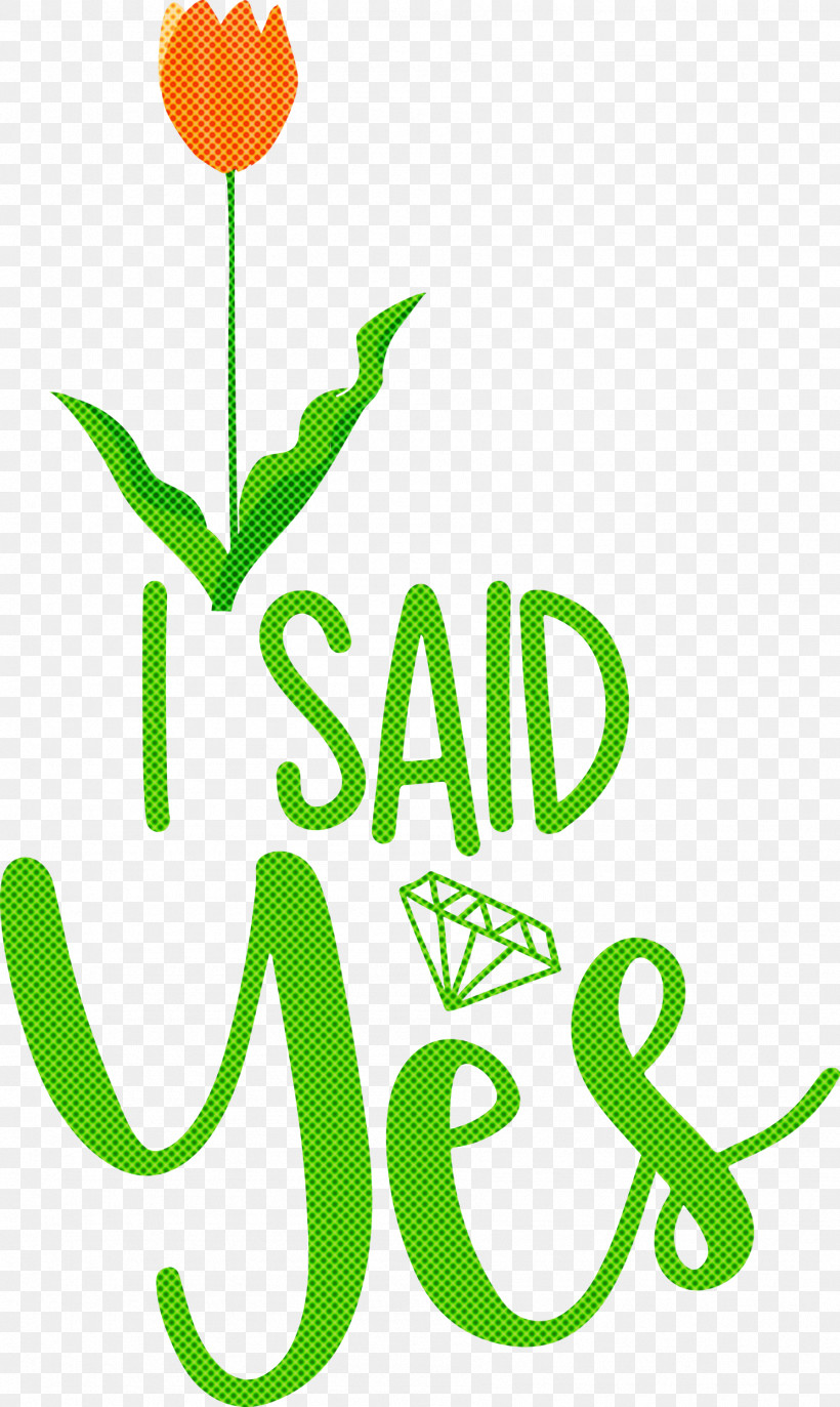 I Said Yes She Said Yes Wedding, PNG, 1791x3000px, I Said Yes, Flower, Grasses, Happiness, Leaf Download Free