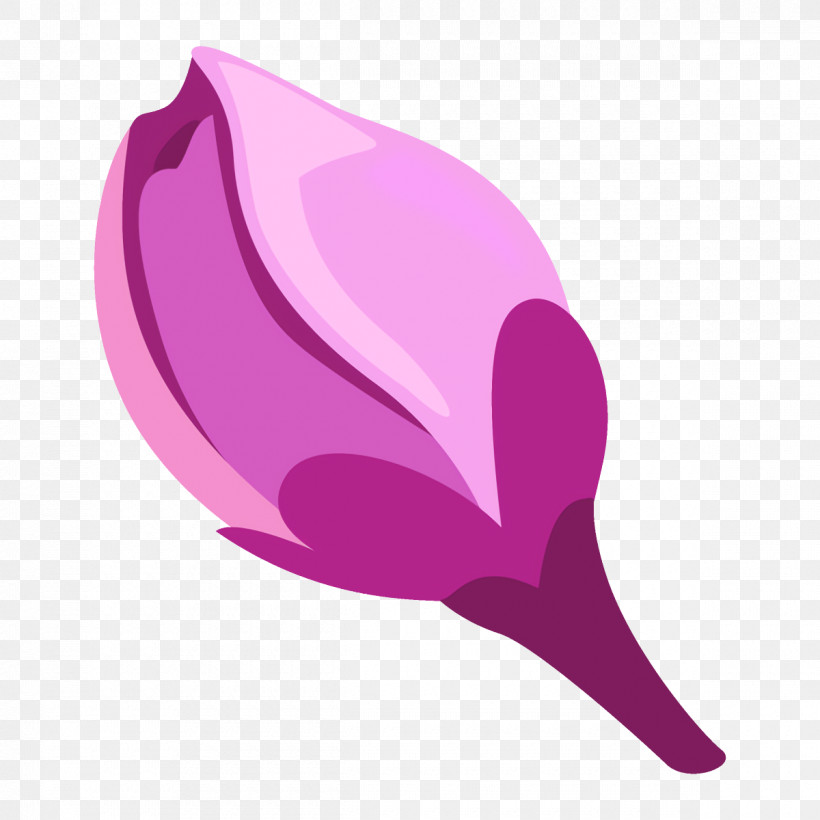 Plum Blossoms Plum Winter Flower, PNG, 1200x1200px, Plum Blossoms, Crocus, Leaf, Magenta, Pink Download Free