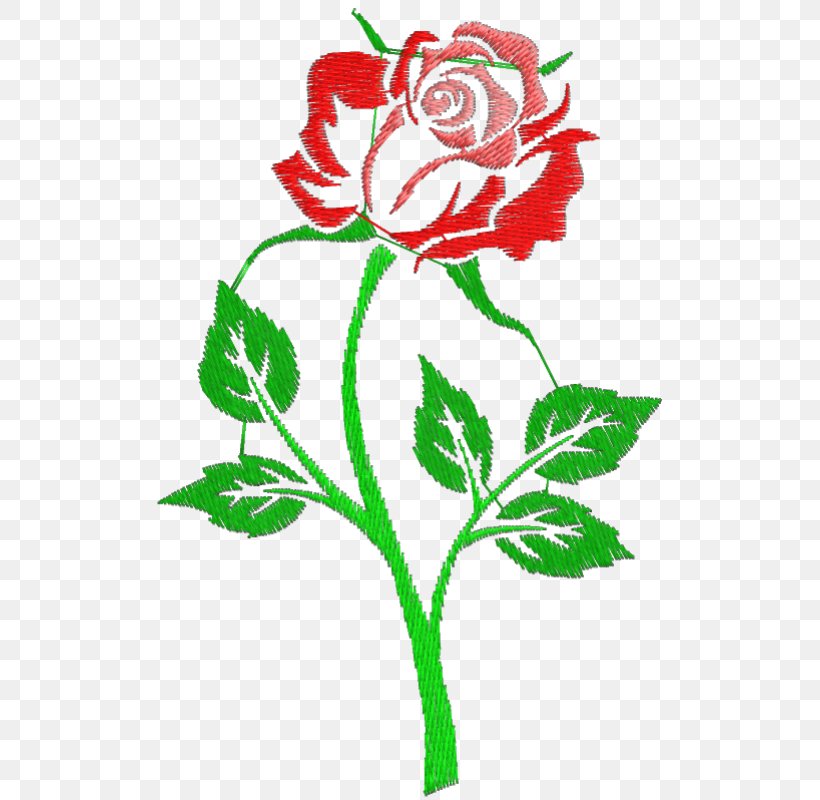 Rose Drawing Clip Art, PNG, 800x800px, Rose, Art, Artwork, Black Rose, Branch Download Free