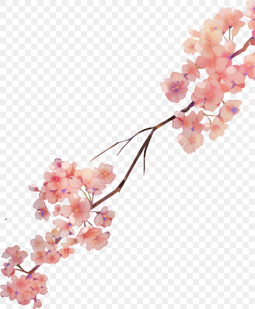 Cherry Blossom Watercolor Painting Watercolour Flowers Petal, PNG, 1024x1245px, Cherry Blossom, Art, Blossom, Branch, Cherries Download Free