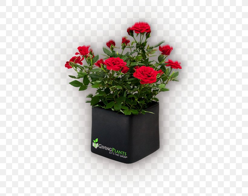 Houseplant Flowerpot Gift, PNG, 519x649px, Plant, Annual Plant, Artificial Flower, Cut Flowers, Floral Design Download Free