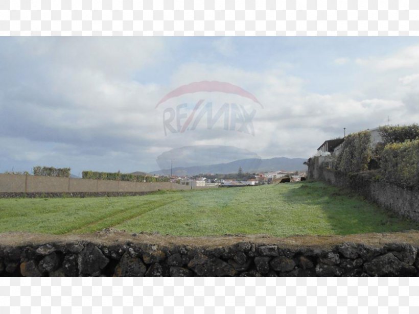Real Property Land Lot Pasture Real Estate, PNG, 1024x768px, Property, Cloud, Cloud Computing, Farm, Field Download Free