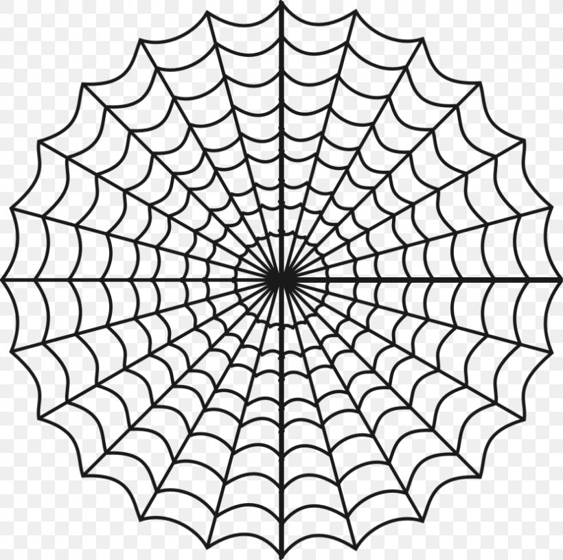 Spider Web Coloring Book Wolf Spider, PNG, 830x826px, Spider, Adult, Area, Black And White, Child Download Free