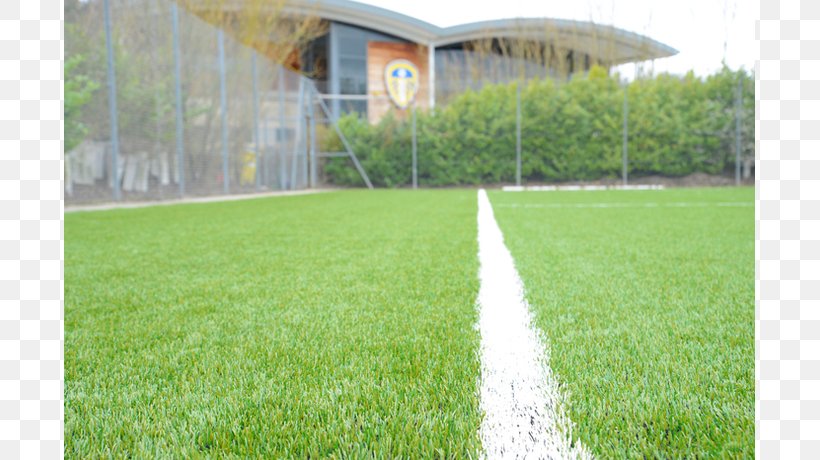 Thorp Arch Leeds United F.C. Reserves And Youth Team Artificial Turf Football, PNG, 809x460px, Leeds United Fc, Artificial Turf, City Of Leeds, Field, Fiveaside Football Download Free
