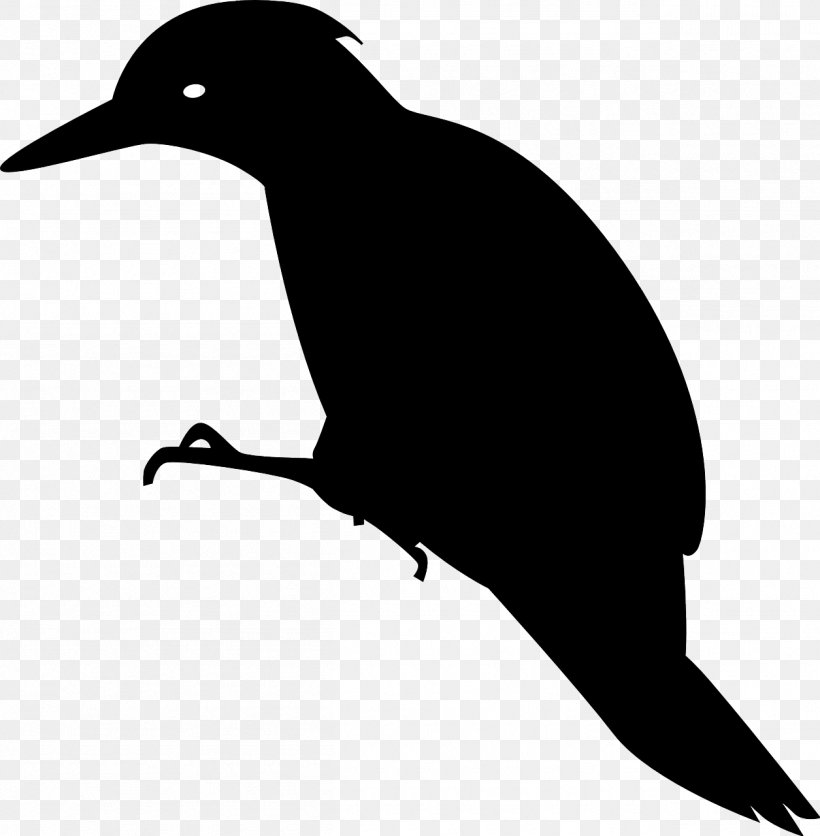 Woody Woodpecker Bird Clip Art, PNG, 1255x1280px, Woodpecker, Beak, Bird, Black And White, Fauna Download Free