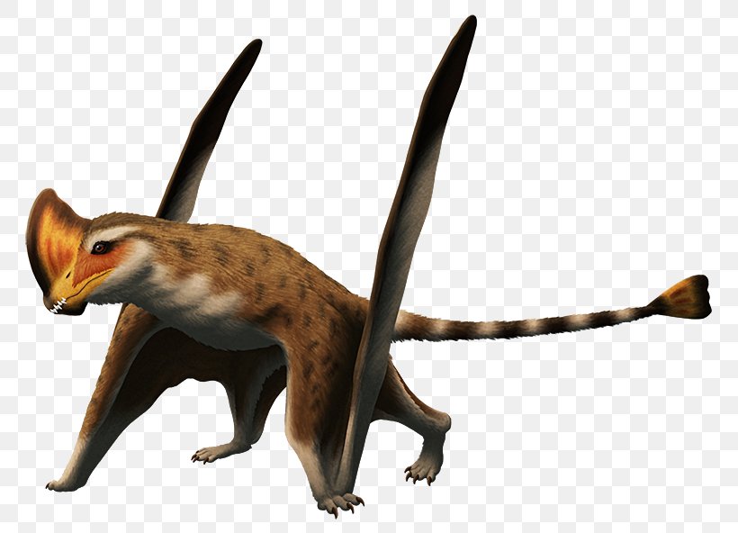 Caviramus Red Fox Rhamphorhynchoidea Dinosaur Triassic, PNG, 800x592px, Red Fox, Animal, Carnian, Carnivoran, Cat Download Free