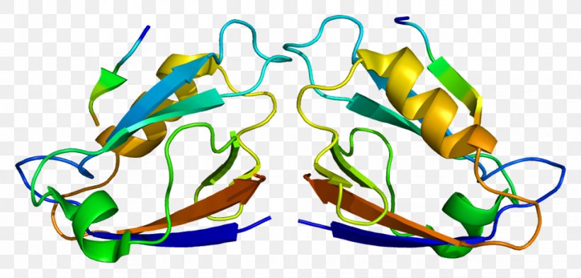 MAGI1 SYNPO PDZ Domain Membrane-associated Guanylate Kinase Protein, PNG, 963x462px, Watercolor, Cartoon, Flower, Frame, Heart Download Free