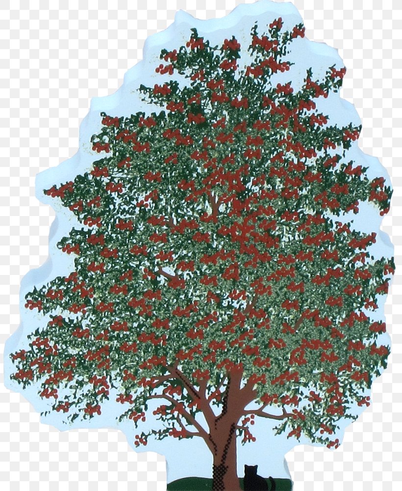 Tree Shrub Branch Woody Plant, PNG, 805x1000px, Tree, Bonsai, Branch, Christmas Decoration, Christmas Tree Download Free