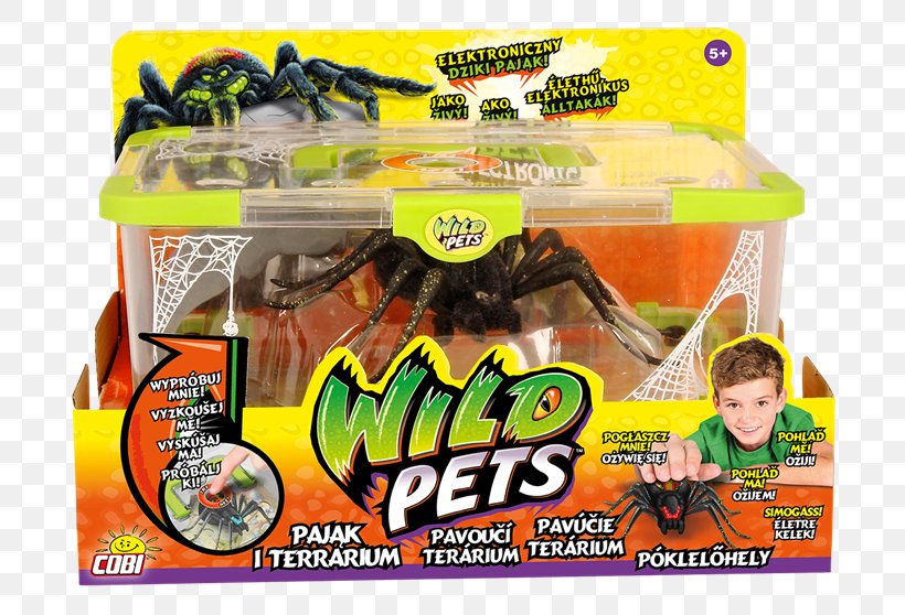 Spider Little Live Pets Toy Cobi Terrarium, PNG, 750x558px, Spider, Cobi, Dog Toys, Doll, Habitat Download Free