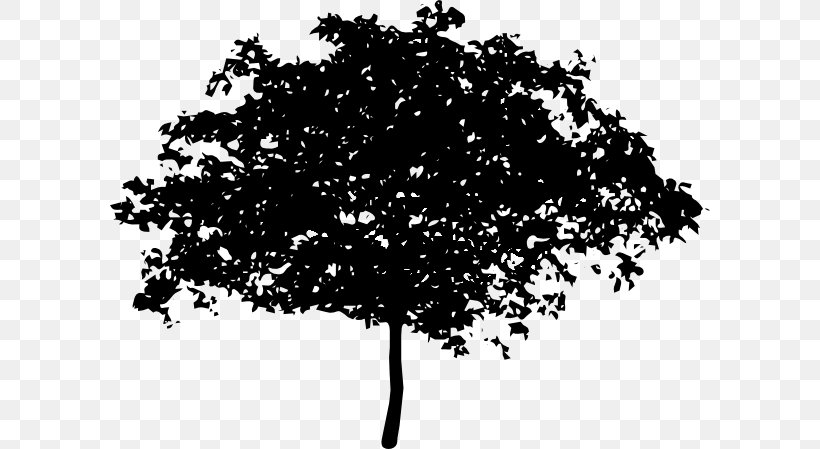 Tree Oak Branch Clip Art, PNG, 600x449px, Tree, Black And White, Branch, Fruit Tree, Leaf Download Free