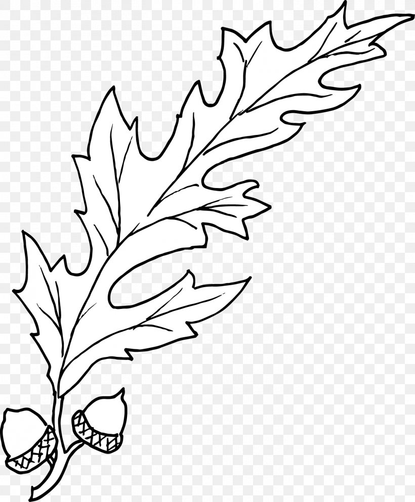 Twig Clip Art Black & White, PNG, 1467x1778px, Twig, Art, Black White M, Blackandwhite, Botany Download Free