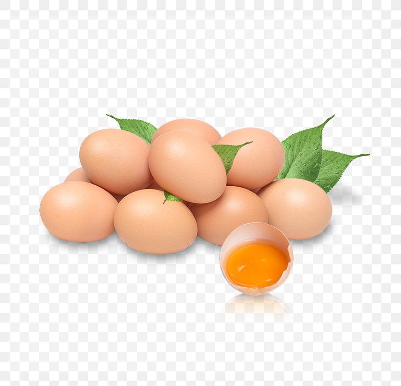 Chicken Egg Chicken Egg Nutrition, PNG, 790x790px, Chicken, Chicken Egg, Egg, Egg White, Food Download Free