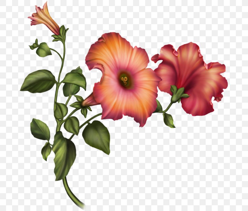 Cut Flowers Floral Design Hibiscus Flower Bouquet, PNG, 689x699px, Cut Flowers, Annual Plant, Cabbage Rose, Color, Floral Design Download Free