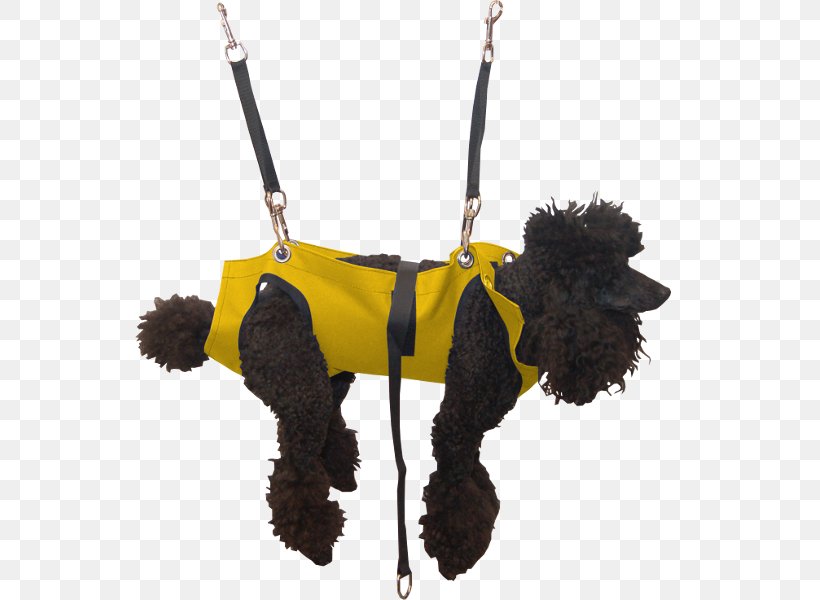 Dog Grooming Pet Hammock Leash, PNG, 600x600px, Dog, Baby Sling, Breed, Cots, Dog Breed Download Free