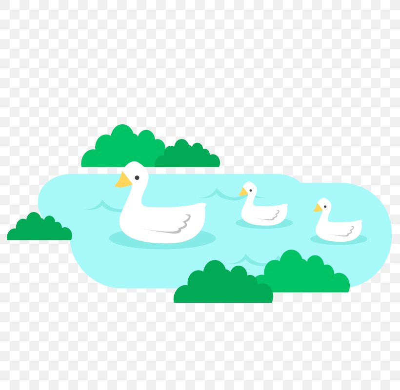 Duck Green Clip Art, PNG, 800x800px, Duck, Aqua, Area, Beak, Bird Download Free