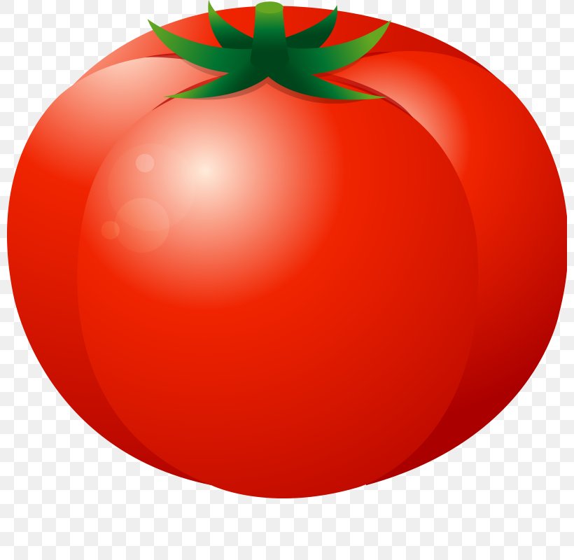 Plum Tomato Fruit Vegetable Food Melon, PNG, 800x800px, Plum Tomato, Apple, Auglis, Australian Desert Raisin, Bush Tomato Download Free