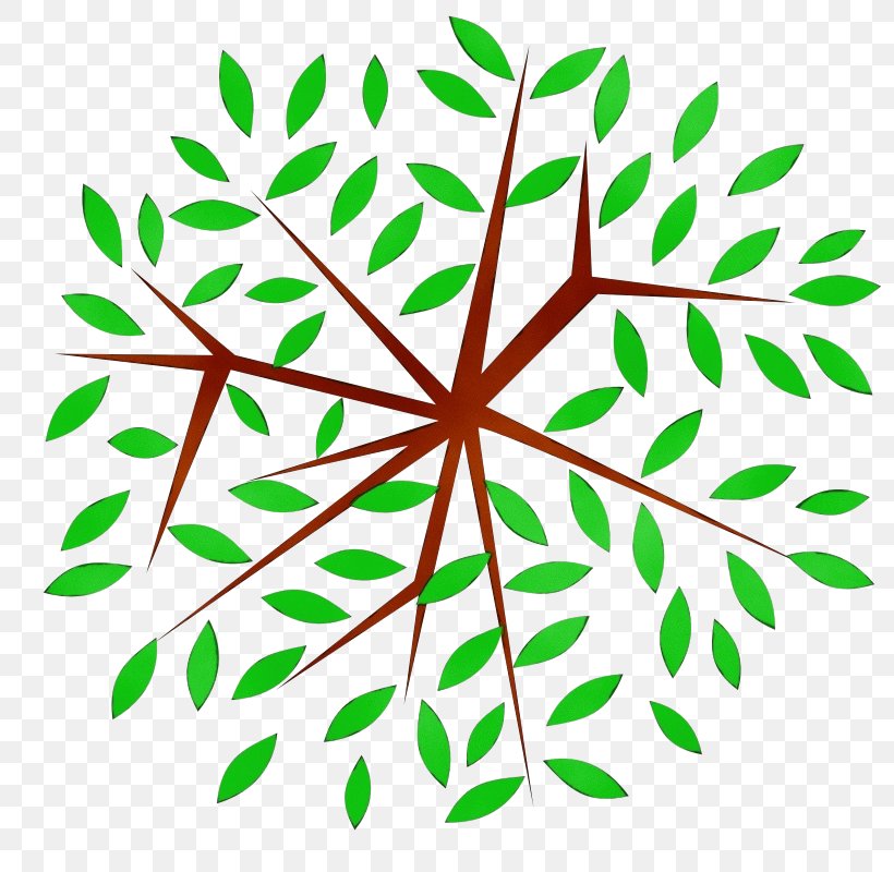 Branch Plant Stem Leaf Line Pattern, PNG, 800x800px, Watercolor, Branch, Branching, Leaf, Meter Download Free