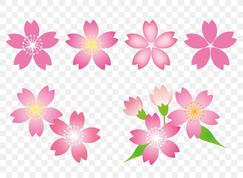 Cherry Flowers., PNG, 800x600px, Floral Design, Blossom, Cherry Blossom, Flora, Floristry Download Free