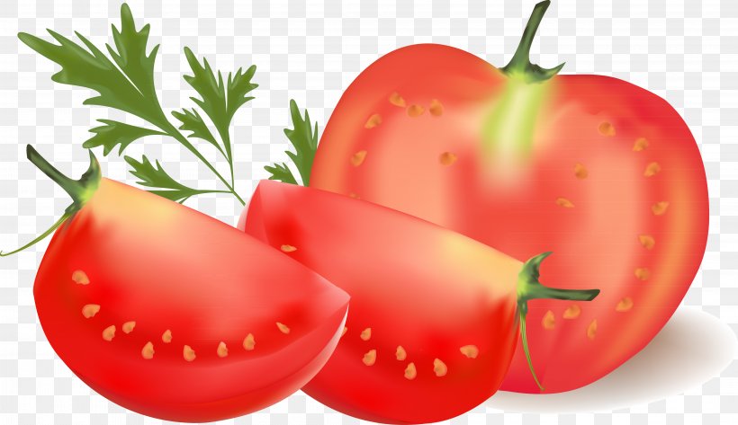 Cherry Tomato Vegetable Clip Art, PNG, 4234x2444px, Cherry Tomato, Apple, Bell Peppers And Chili Peppers, Bush Tomato, Clipping Path Download Free