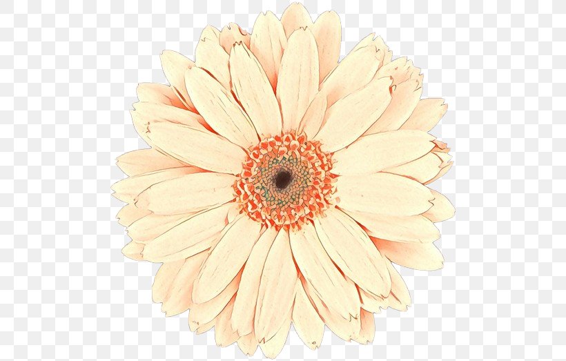 Flowers Background, PNG, 500x523px, Cartoon, Artificial Flower, Asterales, Barberton Daisy, Cut Flowers Download Free