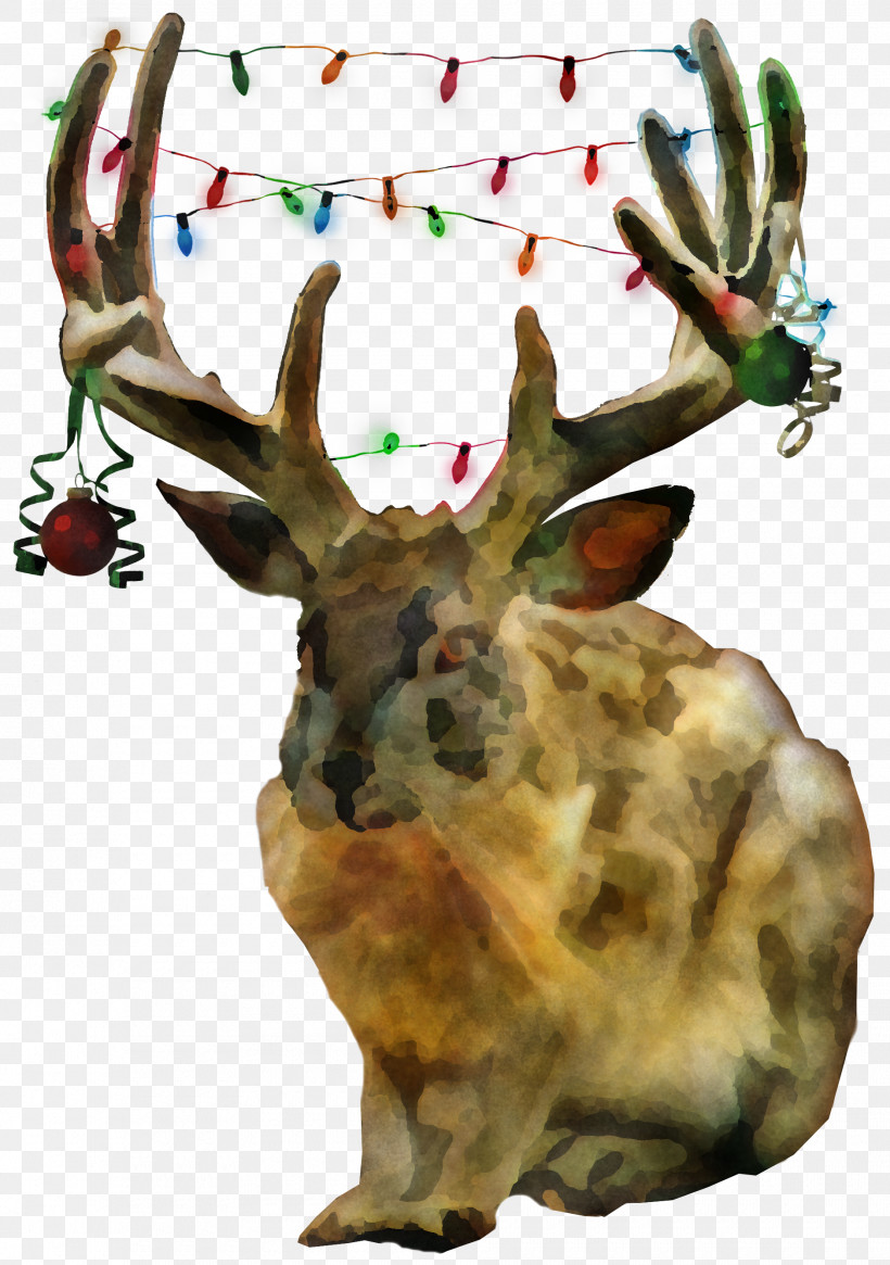 Reindeer, PNG, 1880x2672px, Reindeer, Antler, Deer, Elk, Fawn Download Free
