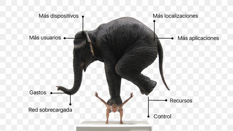 Sculpture Work Of Art YouTube Statue, PNG, 1260x711px, Sculpture, Art, Artist, Bronze Sculpture, Elephant Download Free