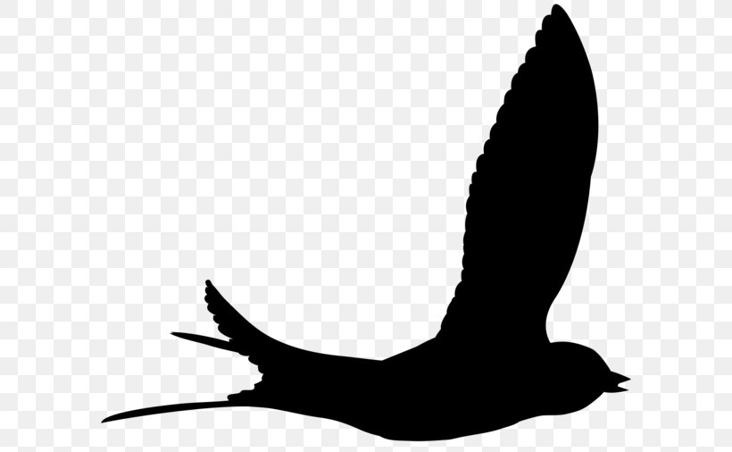 Beak Goose Swans Clip Art Duck, PNG, 600x506px, Beak, Bird, Black, Duck, Ducks Download Free
