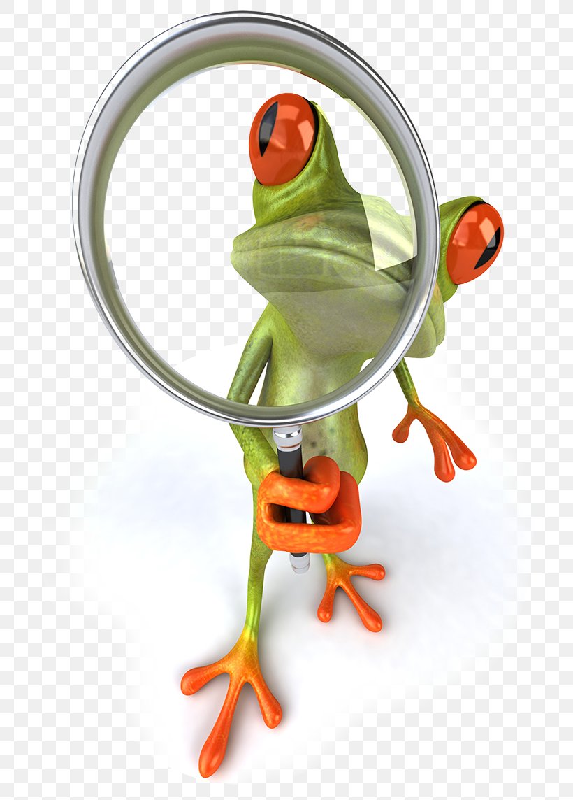 Frog Stock Photography Royalty-free Image Magnifying Glass, PNG, 767x1144px, Frog, Amphibian, Glass, Glass Frog, Istock Download Free