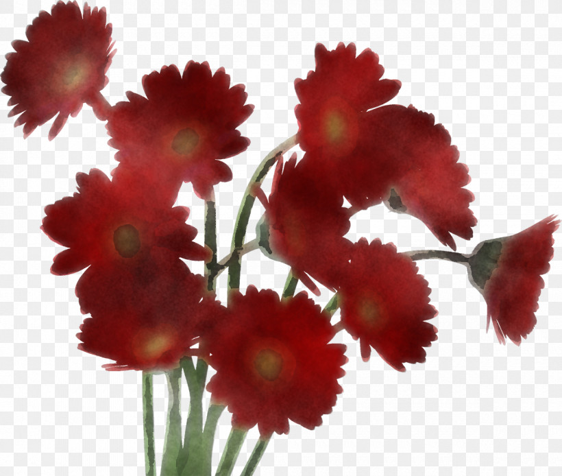 Gerbera Daisy Marguerite, PNG, 1200x1017px, Gerbera, Artificial Flower, Calligraphy, Carnation, Cartoon Download Free