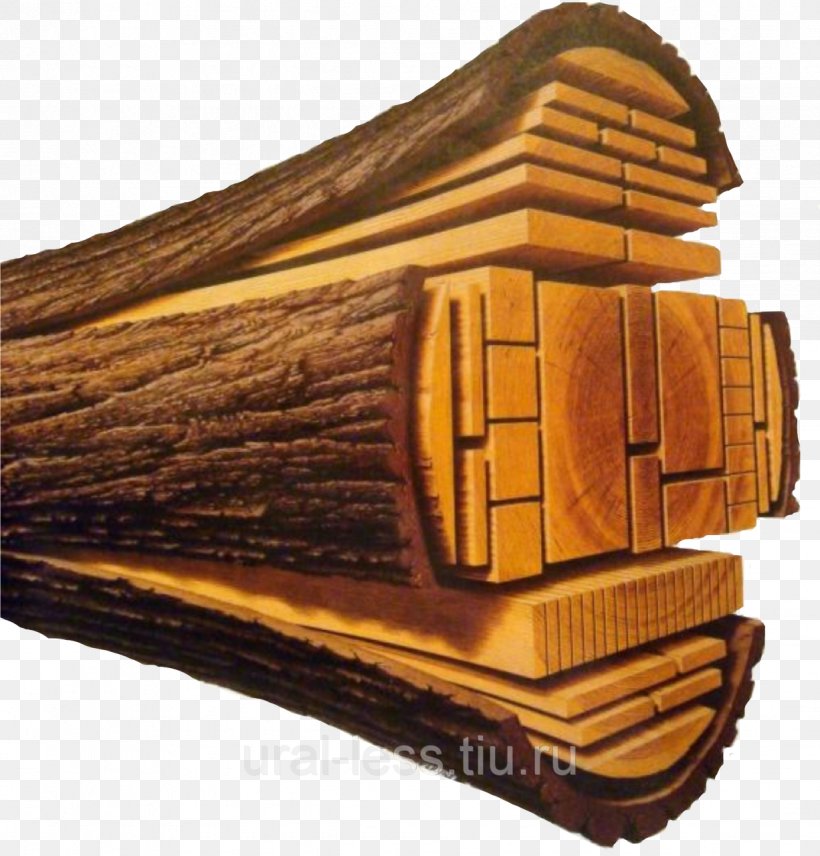 Benson Lumber & Supply Tree Wood Western Red-cedar, PNG, 1226x1280px, Lumber, Forest, Harvester, Mountain Pine Beetle, Nicks Co Timber Ltd Download Free