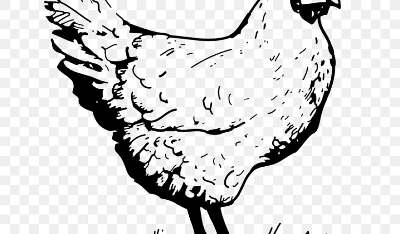 Clip Art Vector Graphics Leghorn Chicken Drawing, PNG, 640x480px, Leghorn Chicken, Art, Beak, Bird, Blackandwhite Download Free