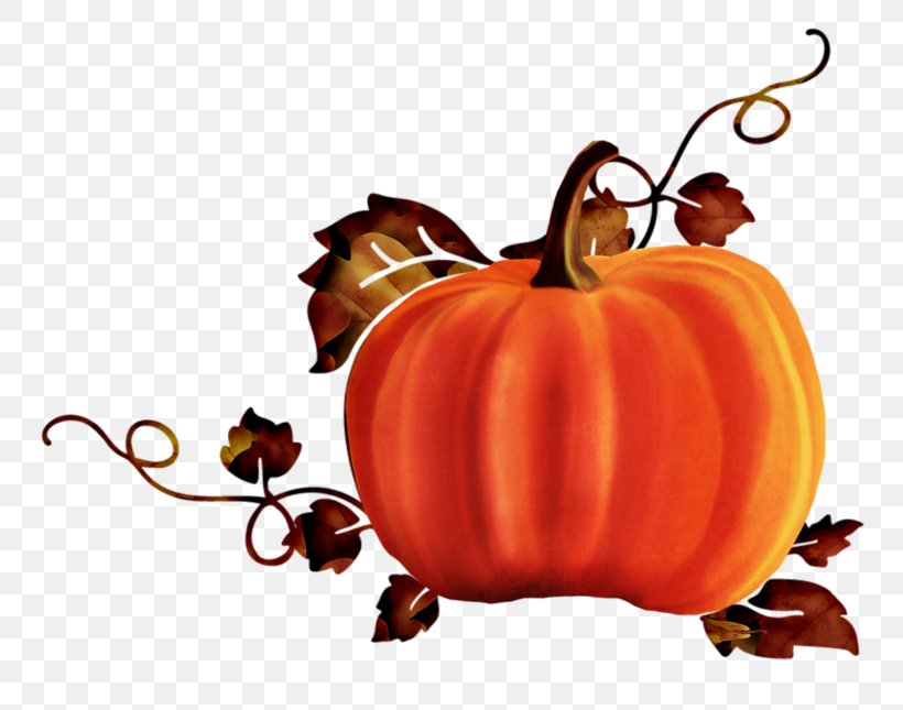 Jack-o'-lantern Halloween Silhouette Pumpkin, PNG, 800x645px, Jacko Lantern, Art, Calabaza, Cucurbita, Decal Download Free
