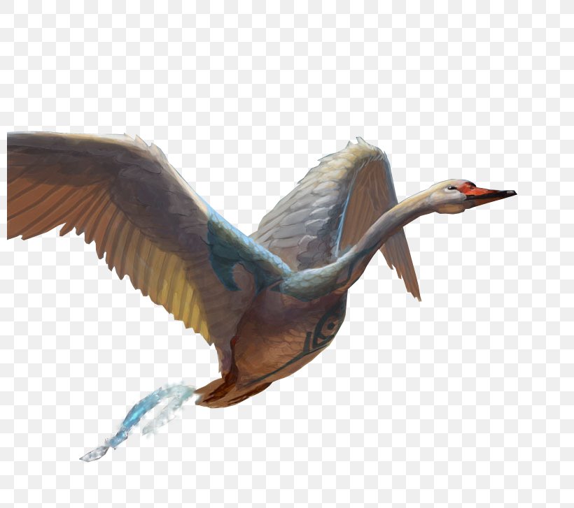 Beak Cygnini Goose Duck Bird, PNG, 800x727px, Beak, Anatidae, Bird, Cygnini, Duck Download Free