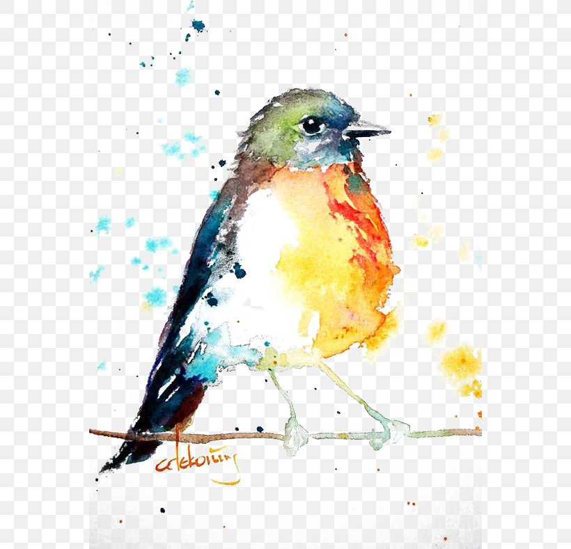 Bird European Robin Watercolor Painting Drawing, PNG, 564x789px, Bird, Advertising, Art, Art Museum, Beak Download Free