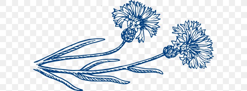 Cornflower Clip Art, PNG, 600x303px, Cornflower, Art, Blue, Cornflower Blue, Drawing Download Free