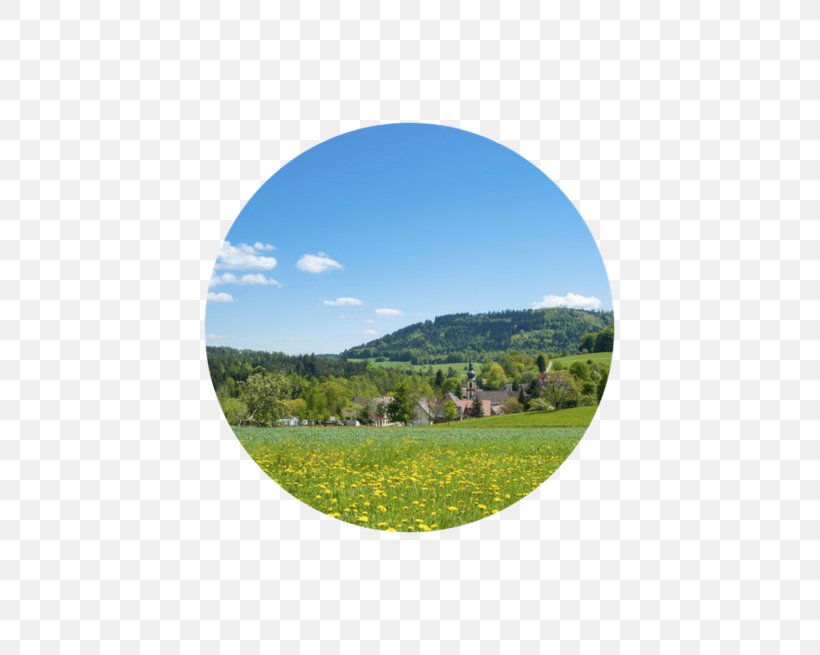 Württemberg Moosbronn Heimat Spa Meadow, PNG, 655x655px, Heimat, Black Forest, Blomstereng, Field, Germany Download Free