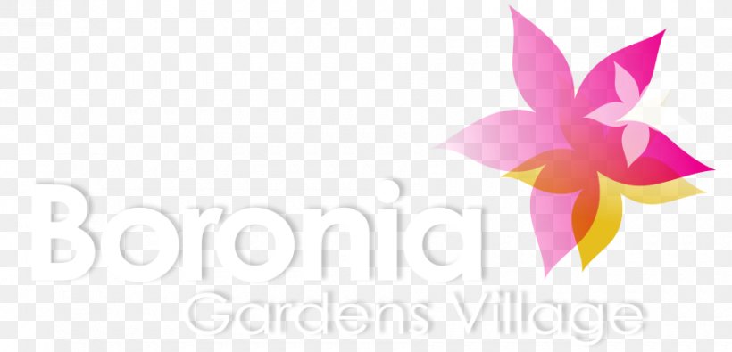 Albany Boronia Gardens Village Petal Clip Art, PNG, 900x434px, Albany, Artwork, Australia, Boronia, Boutique Download Free
