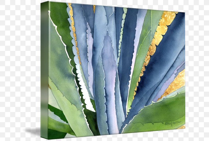 Canvas Print Printing Watercolor Painting Art, PNG, 650x554px, Canvas Print, Agave, Agave Azul, Aloe, Art Download Free