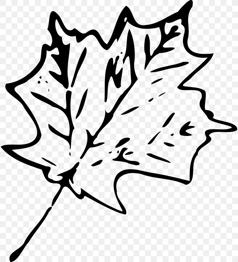 Maple Leaf Autumn Leaf Color Clip Art, PNG, 815x900px, Leaf, Area, Autumn, Autumn Leaf Color, Black And White Download Free