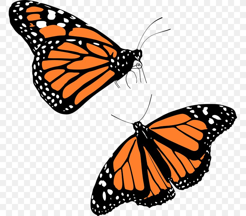 Monarch Butterfly Migration Clip Art, PNG, 761x720px, Butterfly, Animal Migration, Arthropod, Brush Footed Butterfly, Caterpillar Download Free