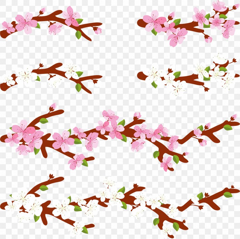 National Cherry Blossom Festival Pink, PNG, 1743x1734px, National Cherry Blossom Festival, Blossom, Border, Branch, Cerasus Download Free