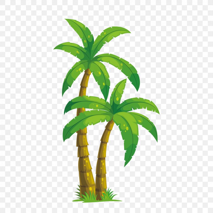 Arecaceae Coconut Tree Illustration, PNG, 1654x1654px, Arecaceae, Arecales, Coconut, Flowerpot, Grass Download Free