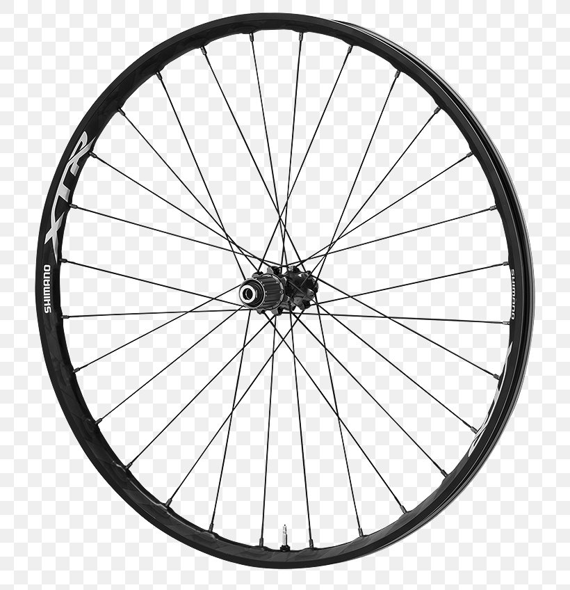 Bicycle Wheels DT Swiss 29er, PNG, 790x848px, 275 Mountain Bike, Bicycle Wheels, Area, Bicycle, Bicycle Drivetrain Part Download Free