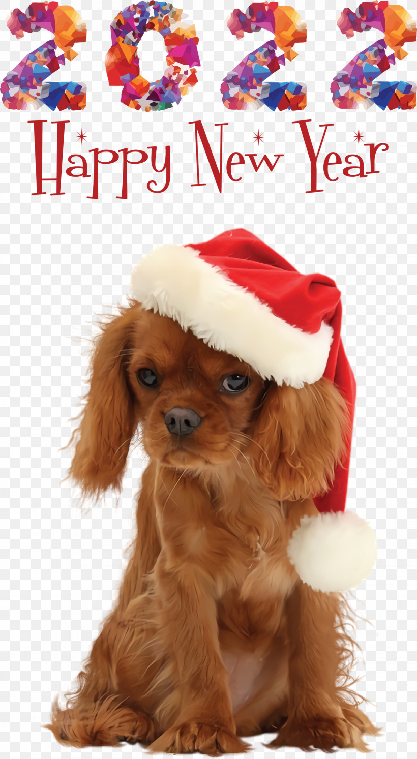Happy New Year 2022 2022 New Year 2022, PNG, 1647x3000px, Cavalier King Charles Spaniel, Biology, Breed, Companion Dog, Crossbreed Download Free