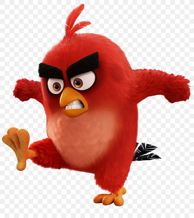 Bird Film YouTube Animation, PNG, 843x946px, Bird, Angry Birds Movie, Angry  Birds Toons, Animation, Beak Download