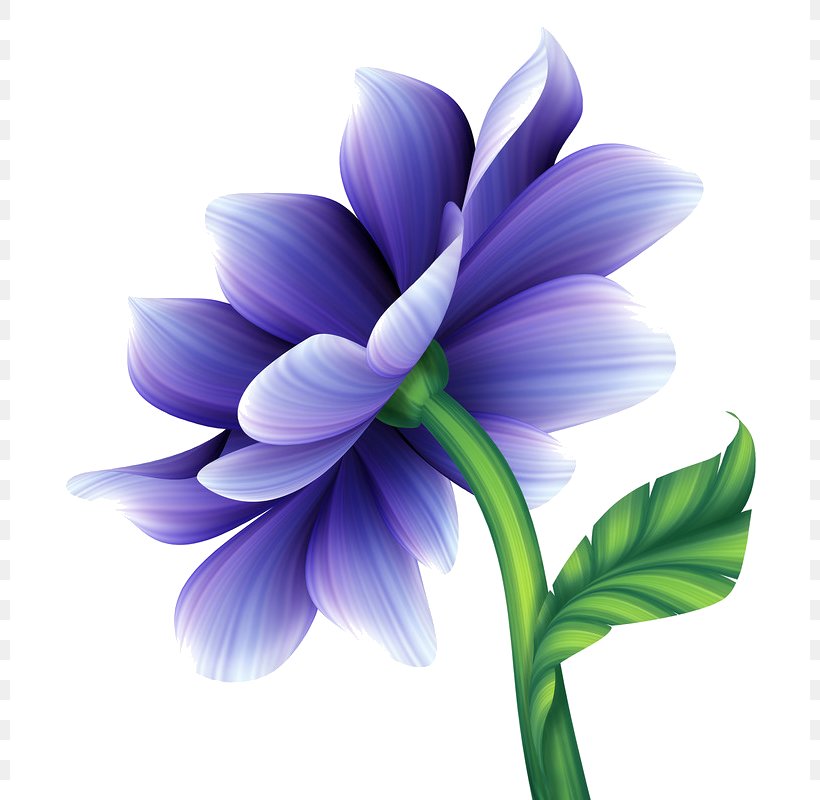 Clip Art Illustration Image Vector Graphics Stock Photography, PNG, 800x800px, Stock Photography, Art, Flower, Flowering Plant, Fundal Download Free