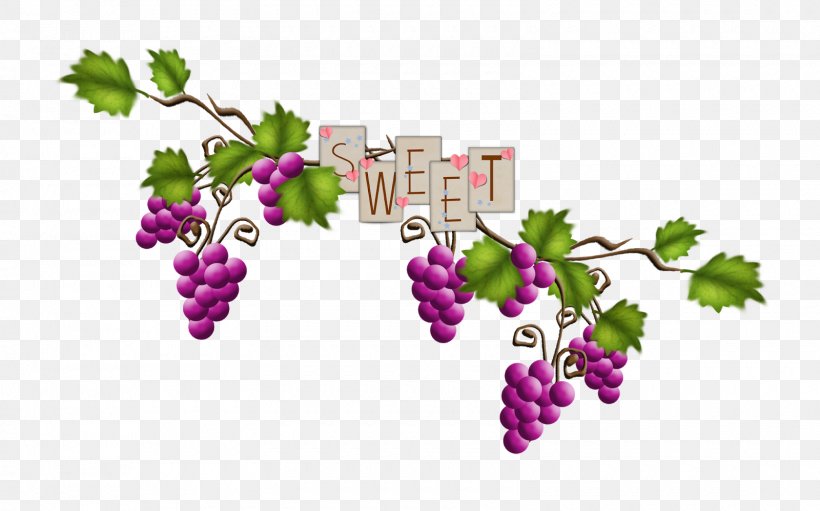 Grape Image Vector Graphics Clip Art, PNG, 1600x999px, Grape, Berry, Branch, Centerblog, Flower Download Free