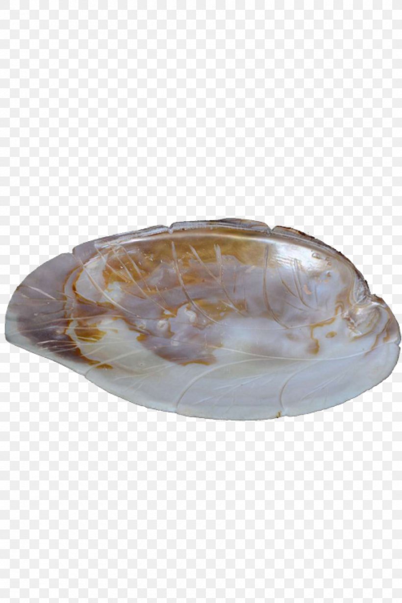 Seashell Handicraft Shellcraft Artisan, PNG, 900x1350px, Seashell, Art, Artisan, Clam, Clams Oysters Mussels And Scallops Download Free