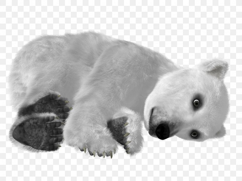 Baby Polar Bear Asian Black Bear Clip Art, PNG, 1280x960px, Watercolor, Cartoon, Flower, Frame, Heart Download Free